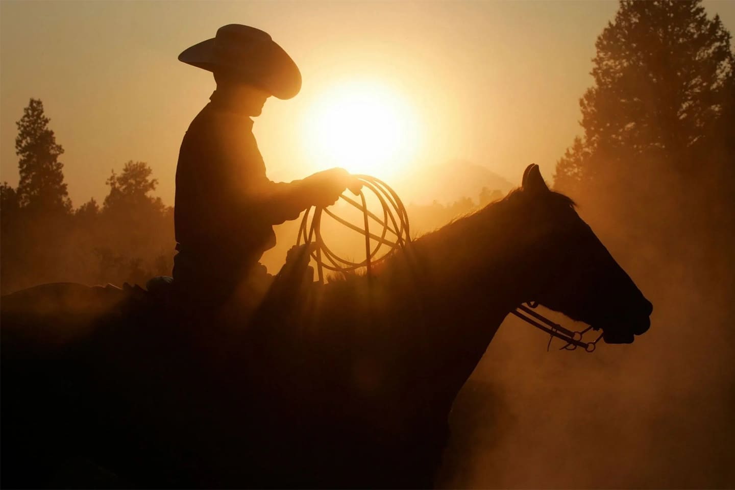 A man riding on the back of a horse at sunset.